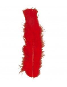 Bolsa de 50 plumas rojas