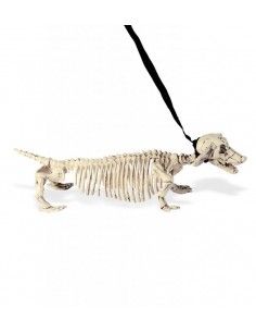 Perro Esquelético con...