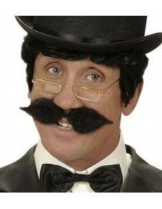 Bigote Schanuzer negro 2