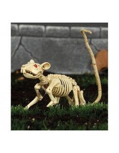 Esqueleto de rata 20 cm
